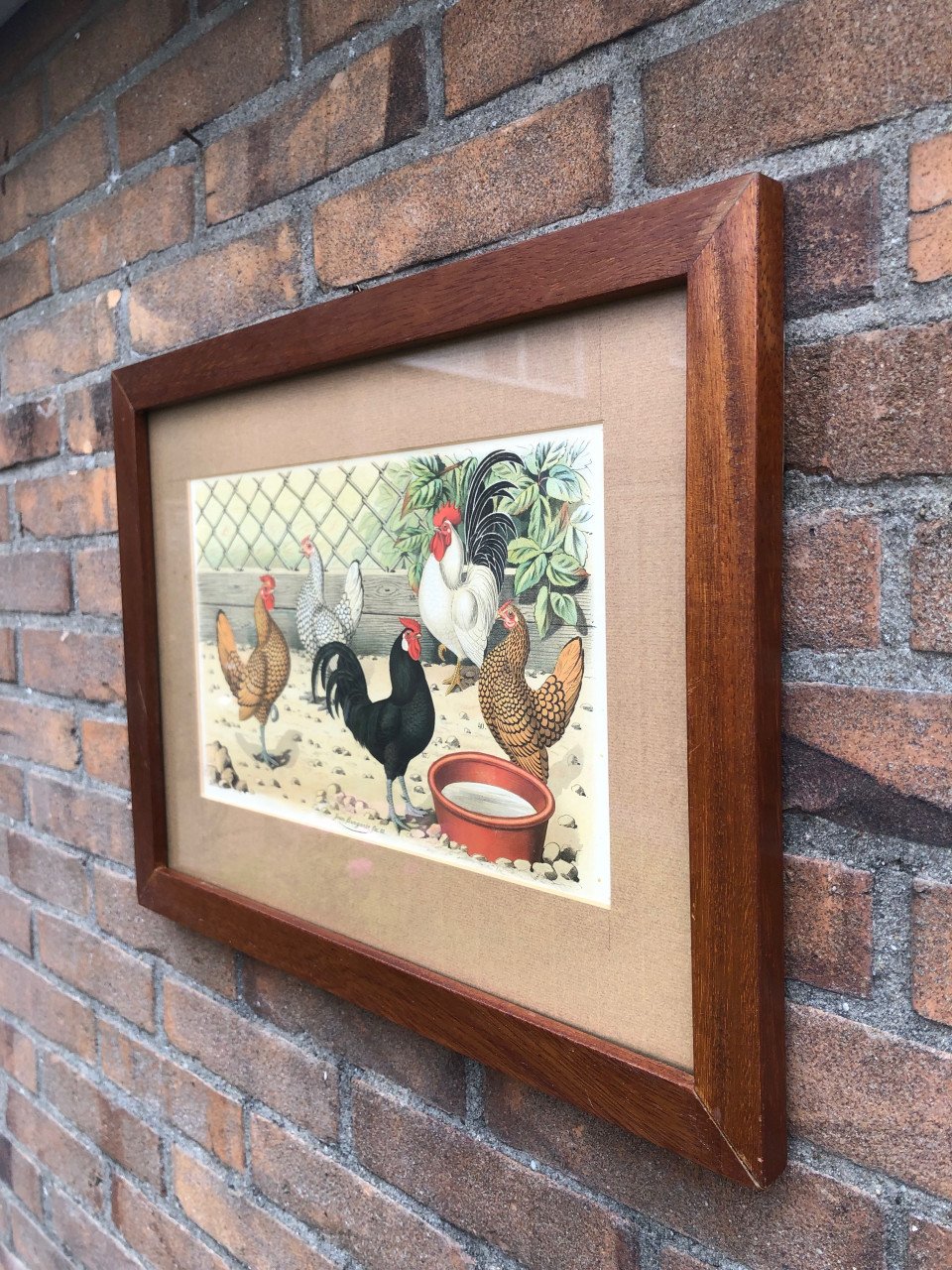 Mooie print in gelijst achter glas.