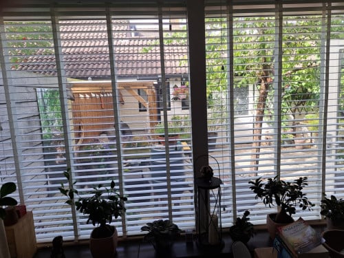 Witte houten jalouzieen