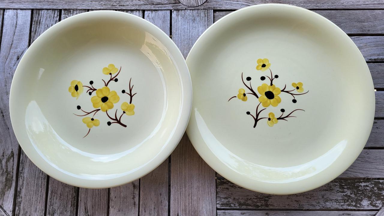 Set van 2 vintage Franse schalen Salins servies Catherine