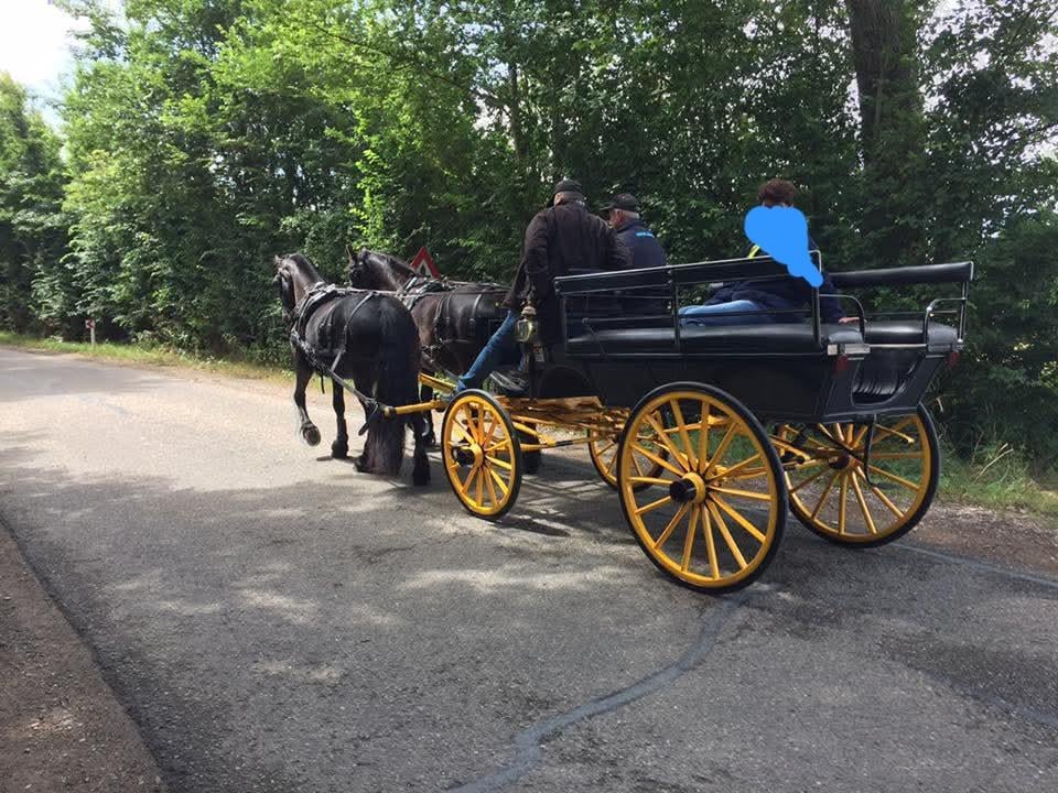 Familiekar