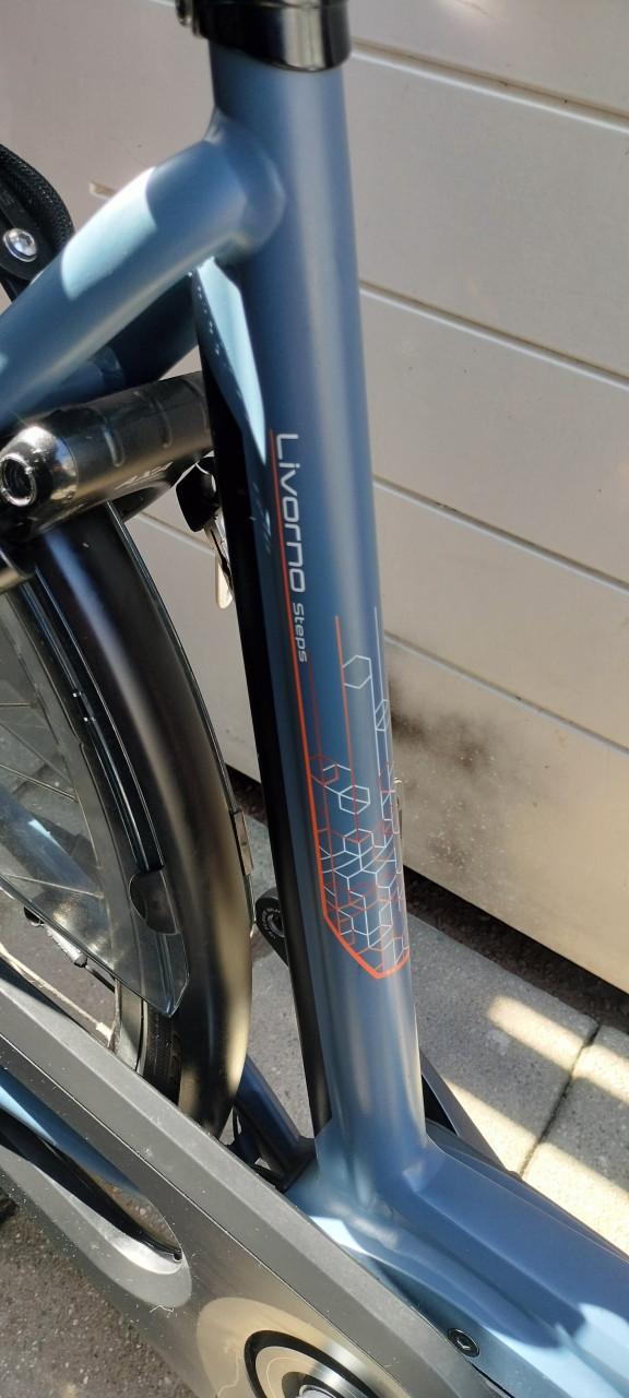 Stella Livorno steps