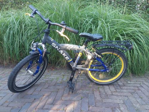 Jongensfiets Batavus snake 20 inch