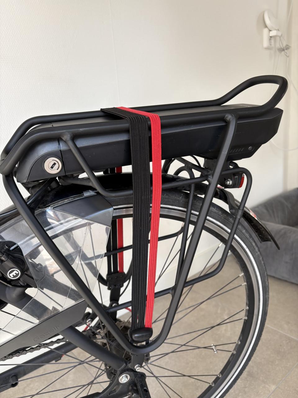 Gazelle chamonix T10 dames hmb - elektrisch