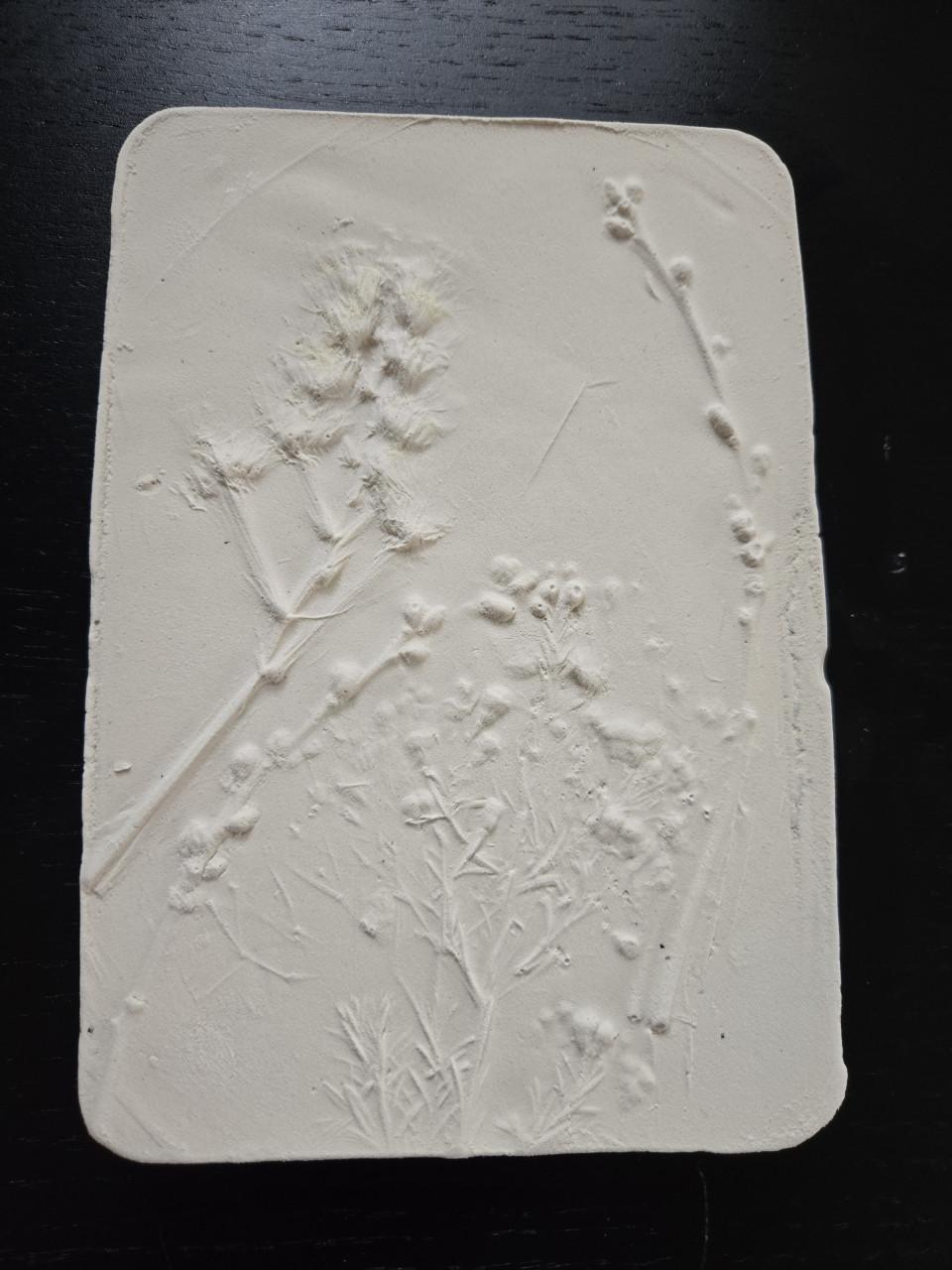 High tea i.c.m. workshop botanisch schilderijtj