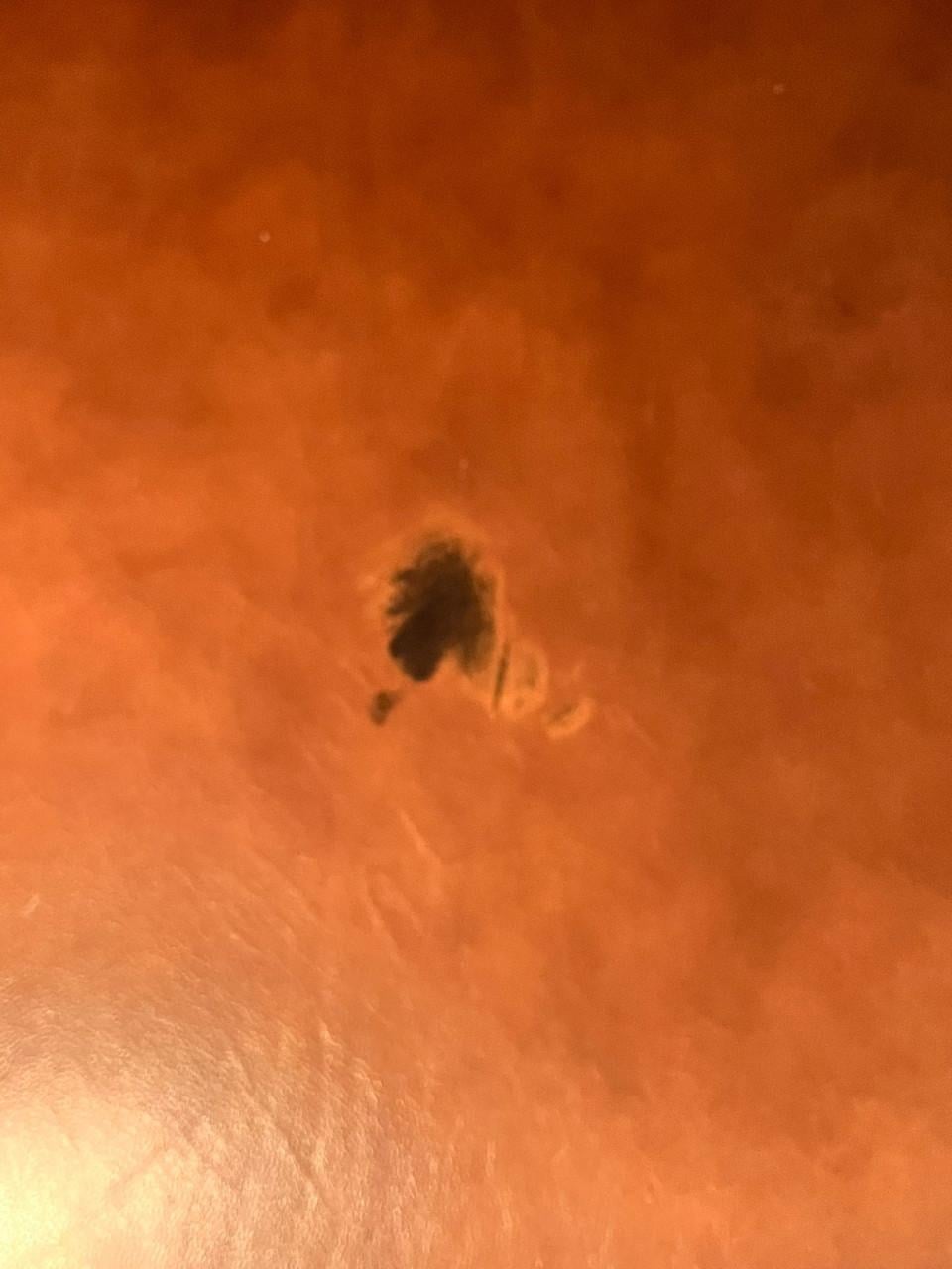 Vintage Gelderland Rob Parry Lotus Bank, daybed