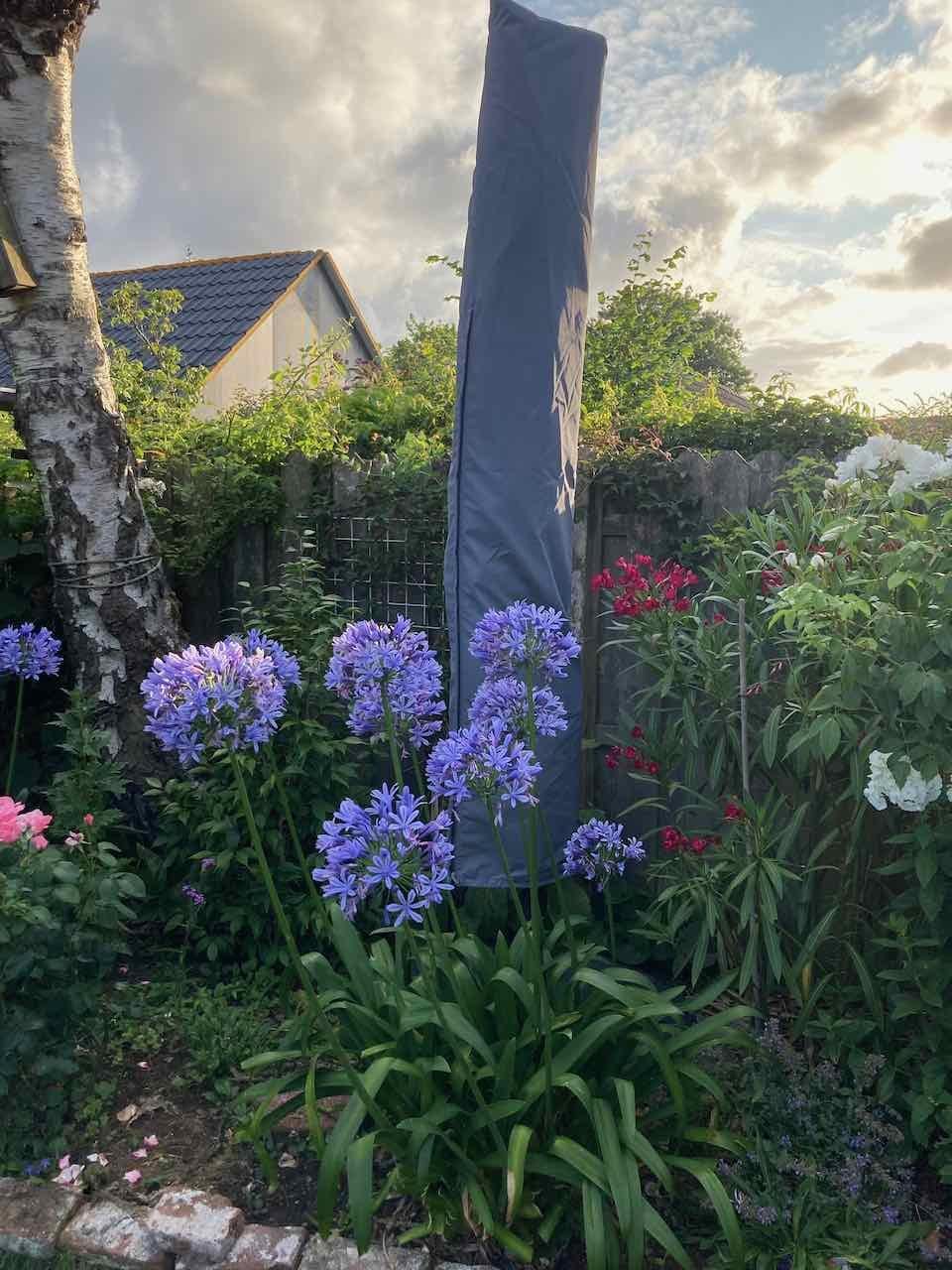 Zweefparasol
