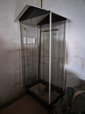 Vogelkooi