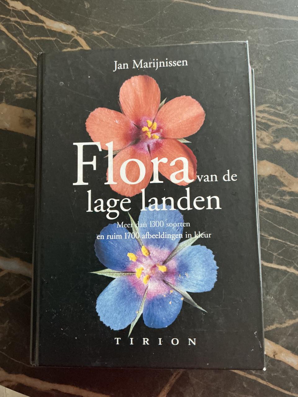 Flora van de lage landen