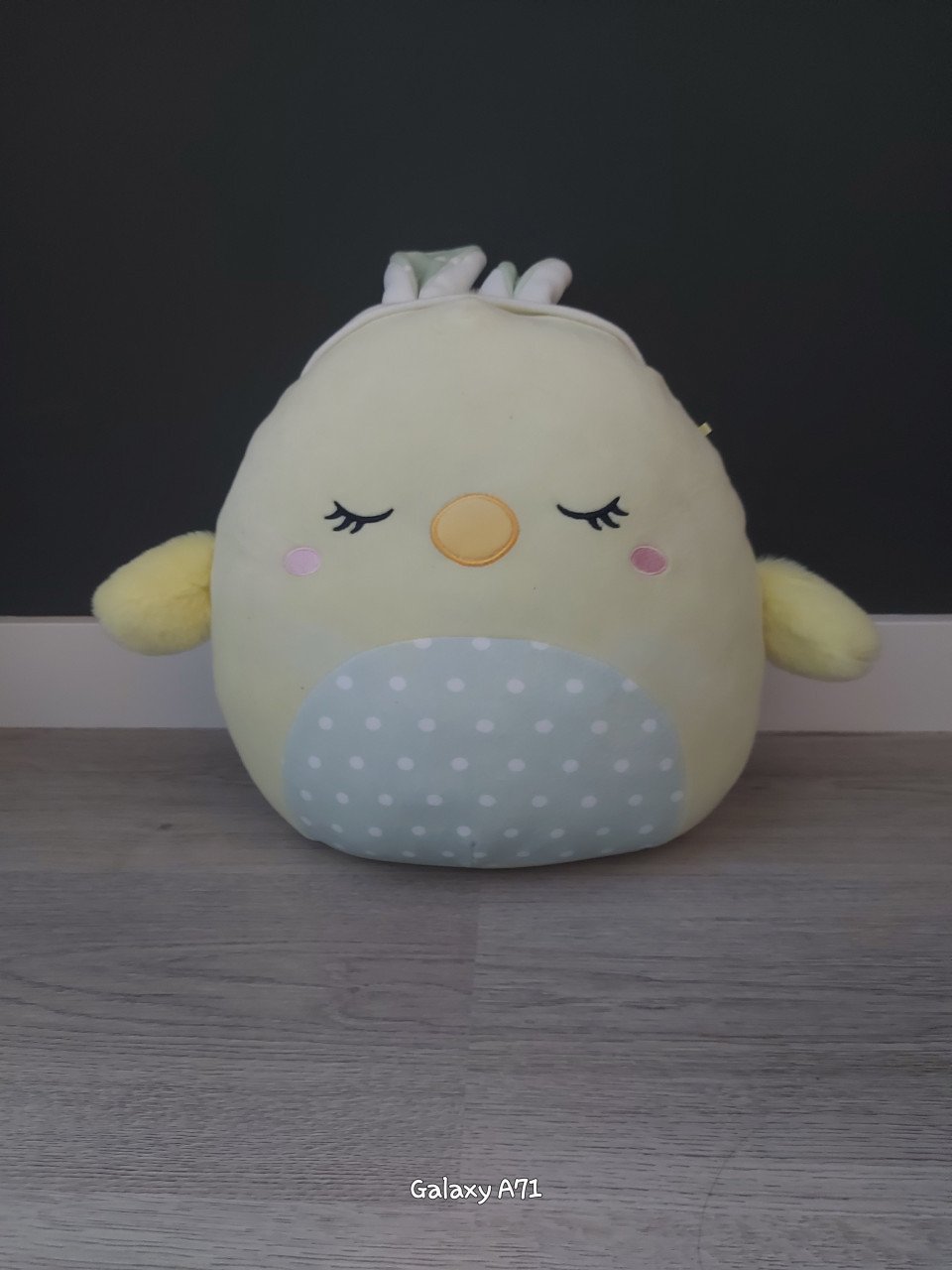 Squishmallows medium size