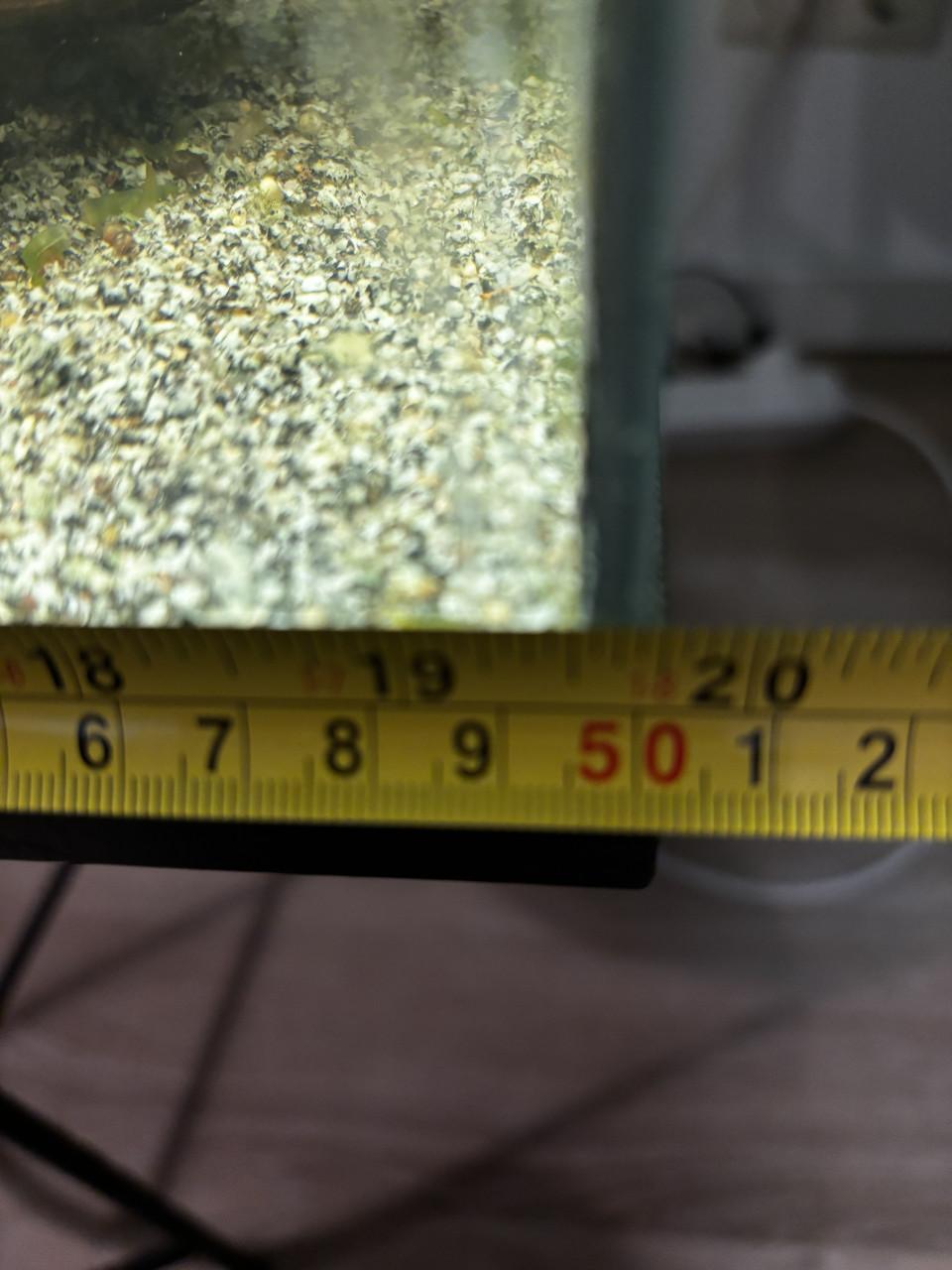 Aquarium inclusief vissen en alle toebehoren