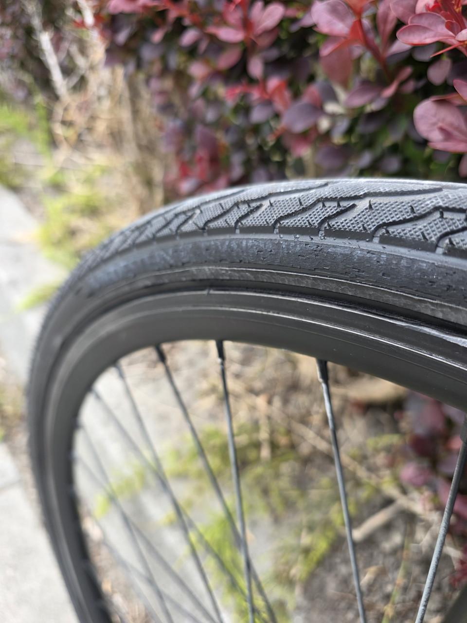 HOLLANDIA | BLACK MAMBA | 28 INCH | FRAME 56 CM