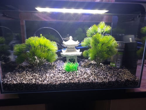 Sf home 30 pro led NIEUWSTAAT