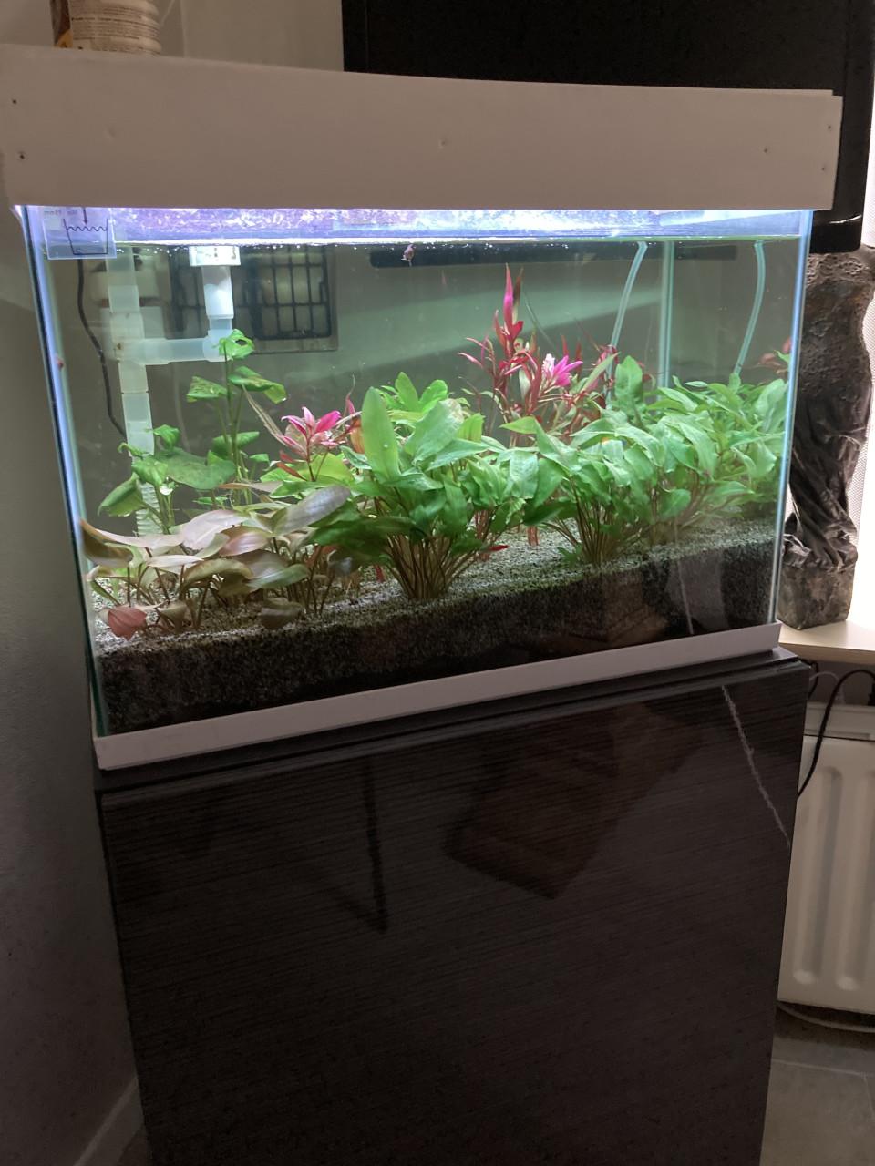 Klein aquarium
