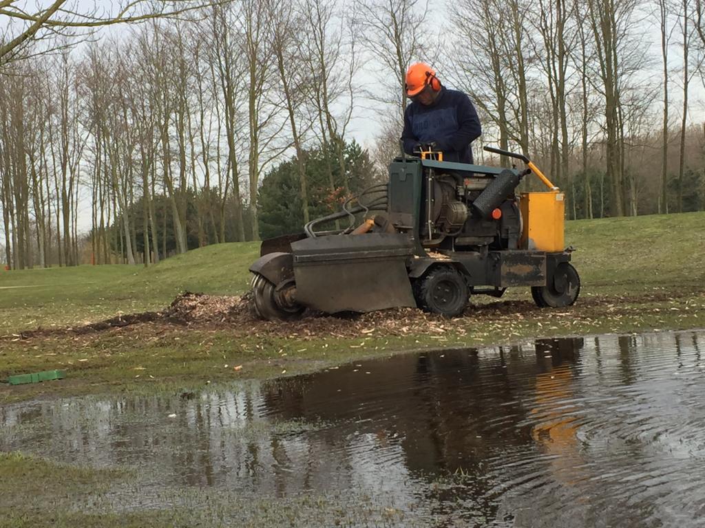 Boomstobben/stronken frezen in uw tuin?