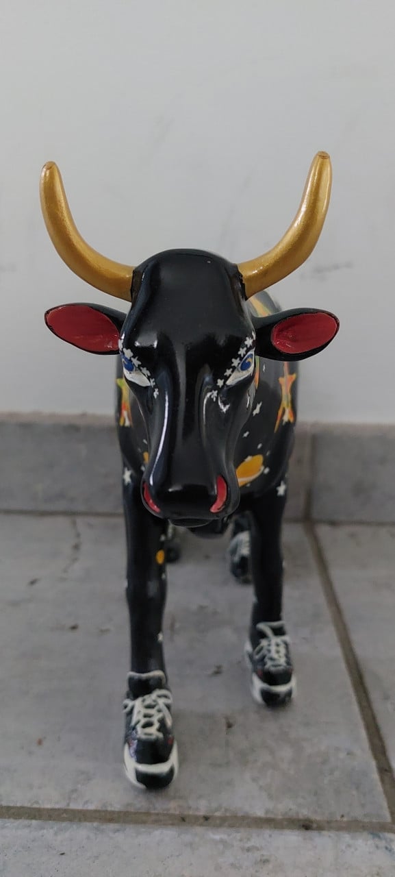 Zwarte stenen koe