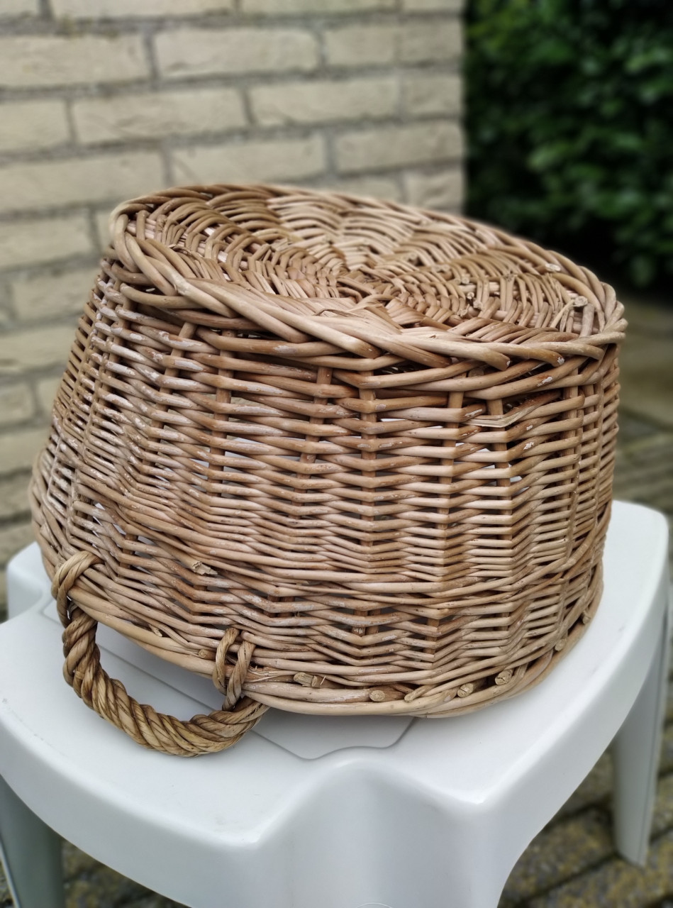 Wilgentenen mand