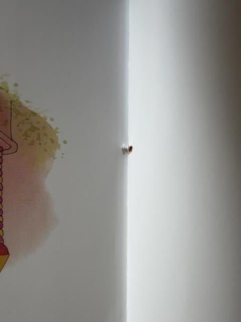 Nieuw | Het grote voorleesboek voor alle seizoenen
