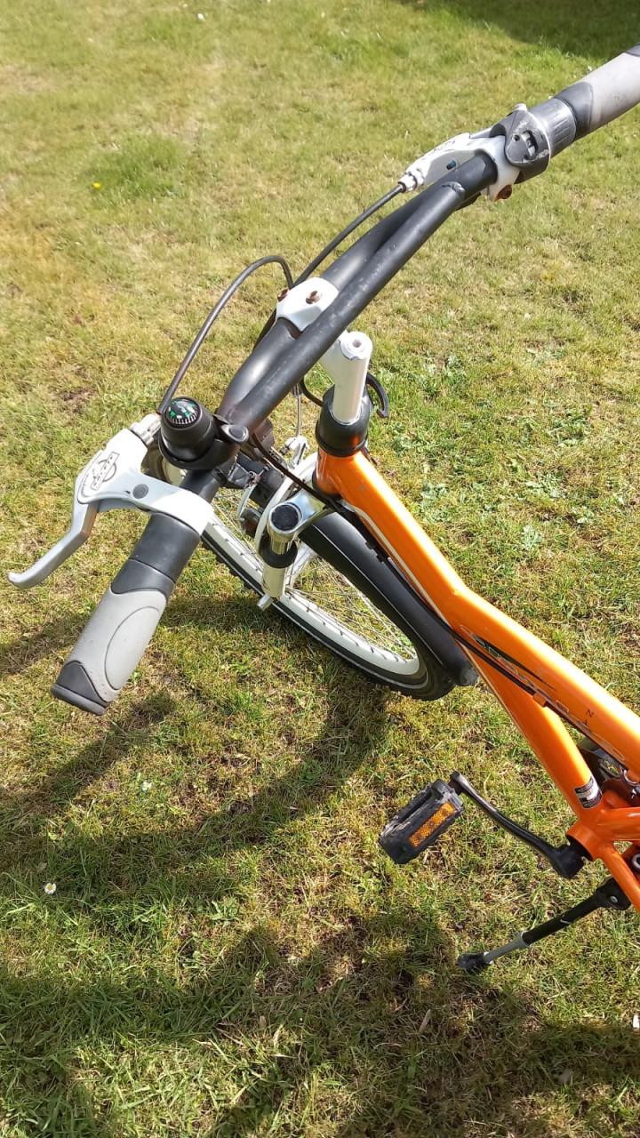 Batavus Snake 22 inch