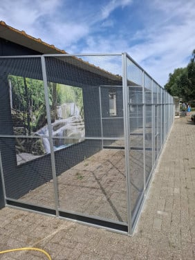 Kanarie`s en andere tropen gezocht.............