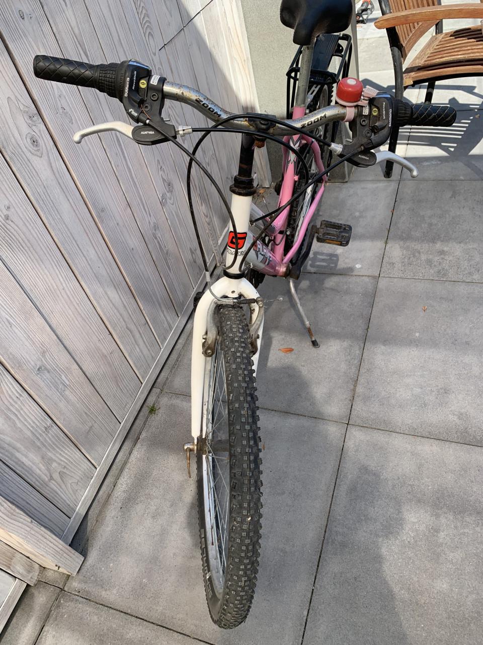 Galaxy Powerbike 24 inch wielen,  .