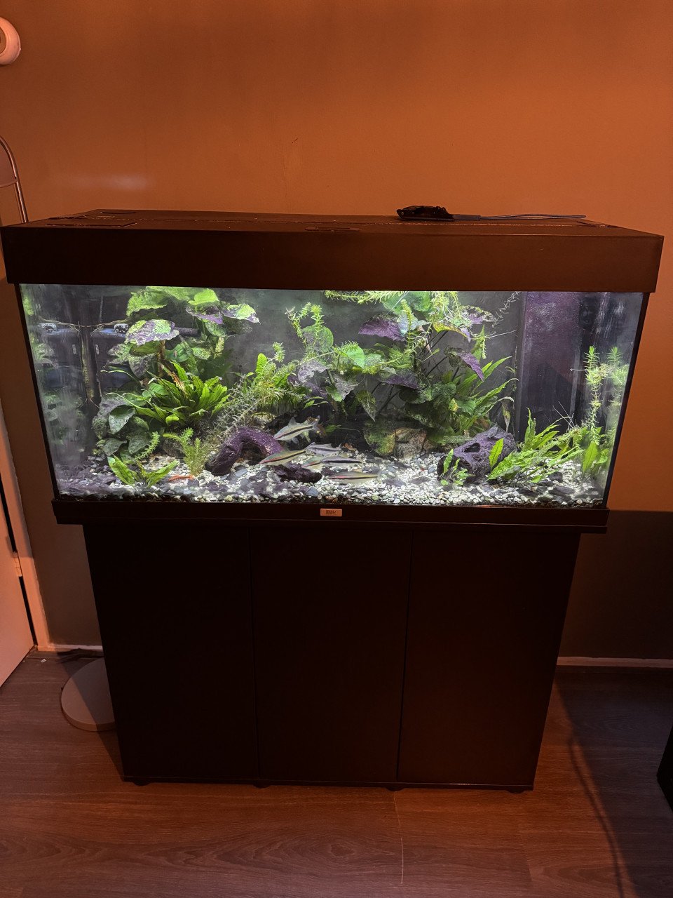 Aquarium juwel 180