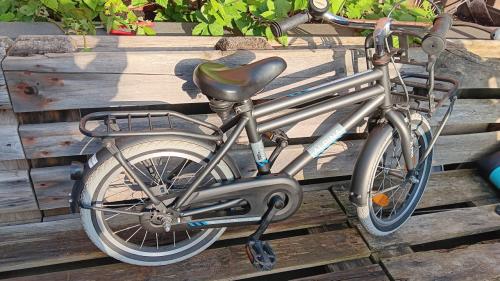 Kinderfiets 16 inch (Alpina Cargo)