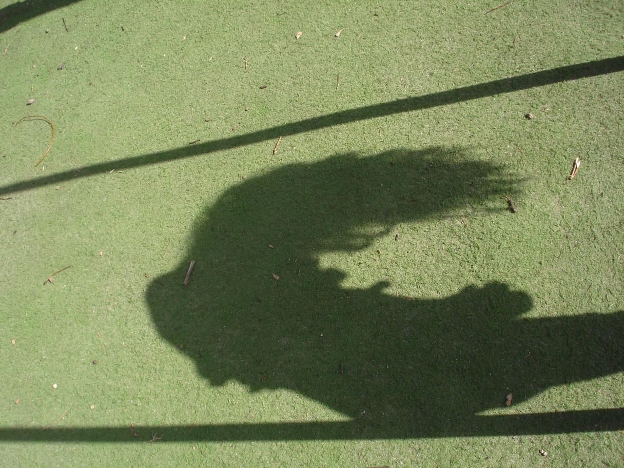 Fotoworkshop (groot) ouder en kind