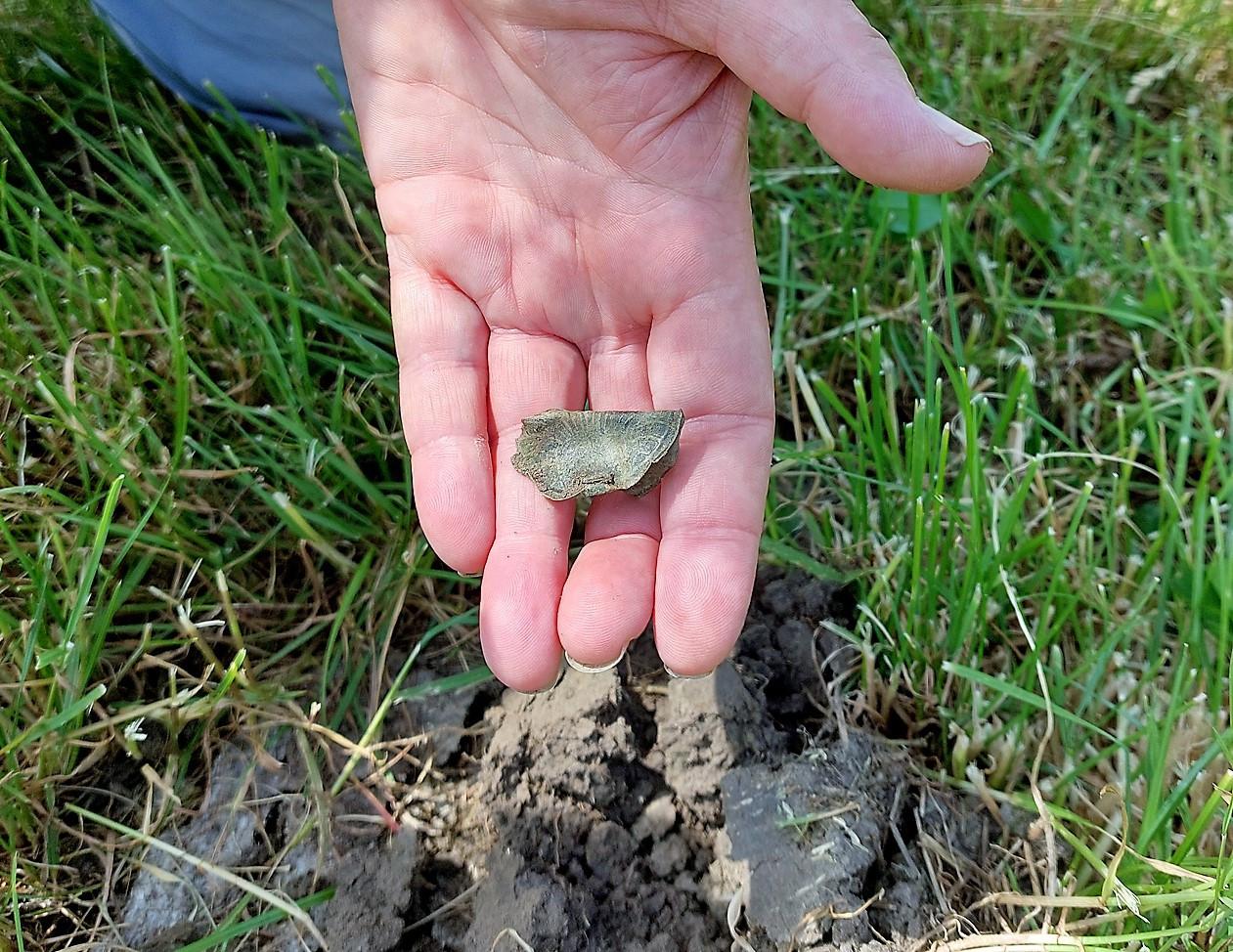 Metaaldetectie cursusdagen voor op strand en landlocaties