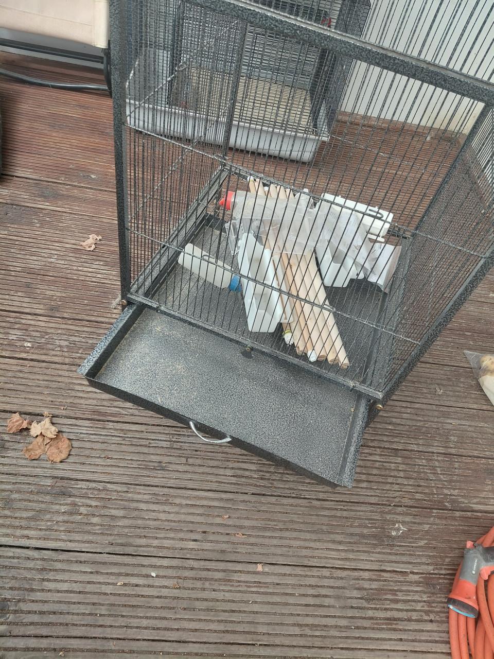 Vogelkooi