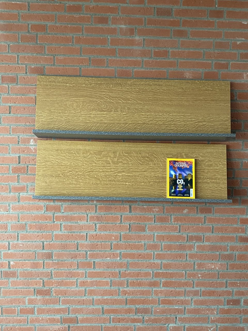 Lectuur planken