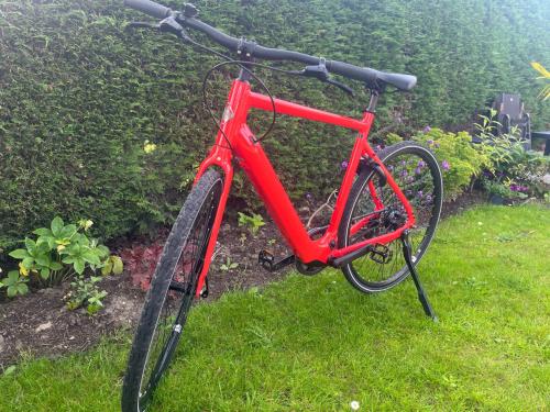 Elektrische mountainbike Giant  Belt drive maat L als nieuw