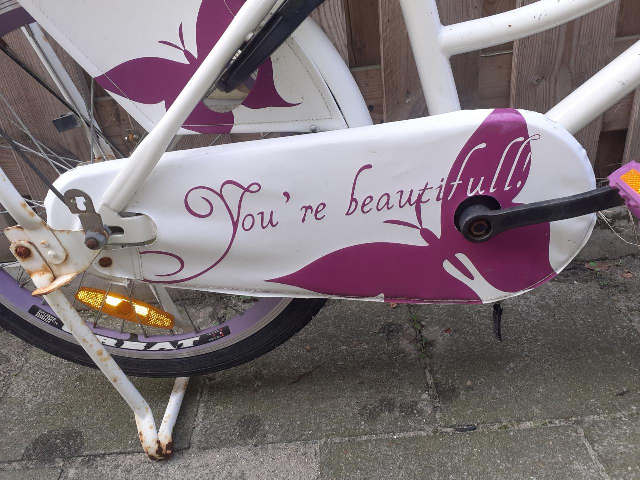 Mooie Meisjesfiets 20 inch
