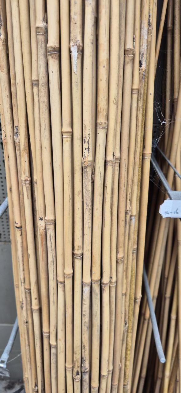 Bamboestokken A-kwaliteit