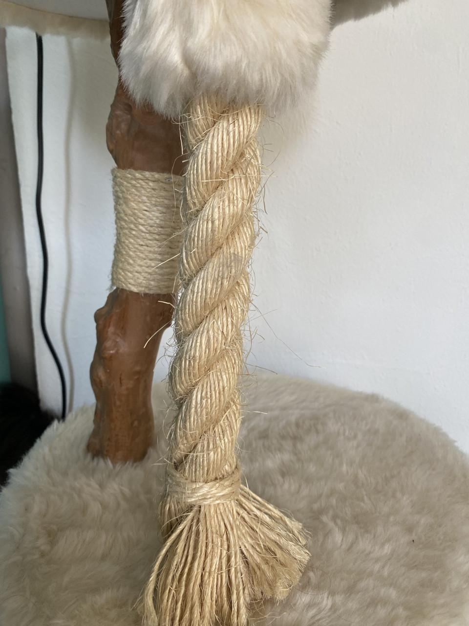 Krabpaal kat
