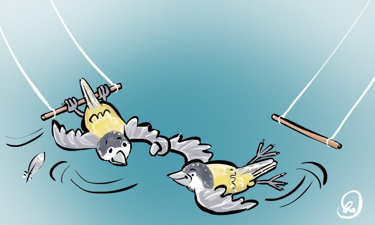 Illustratie of cartoon gezocht?