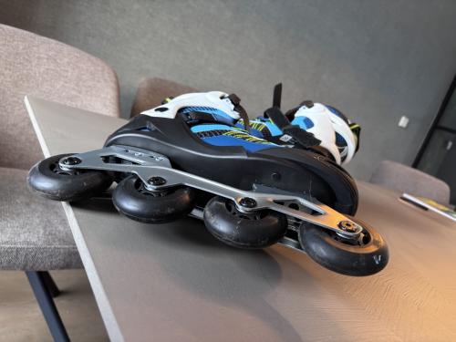 Skeelers