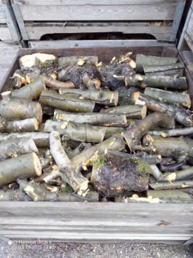 Openhaardhout appel, pas gerooid