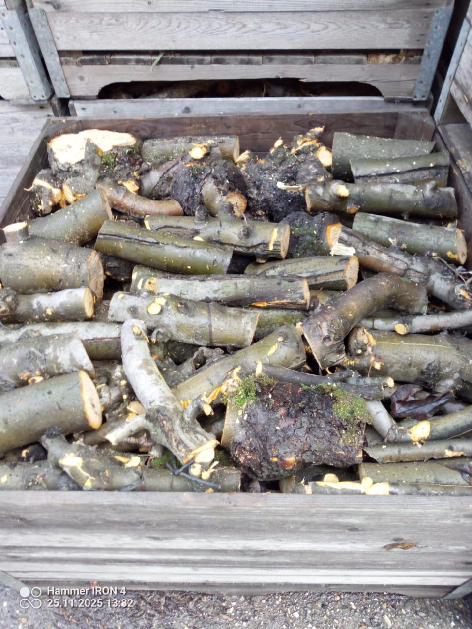 Openhaardhout appel, pas gerooid