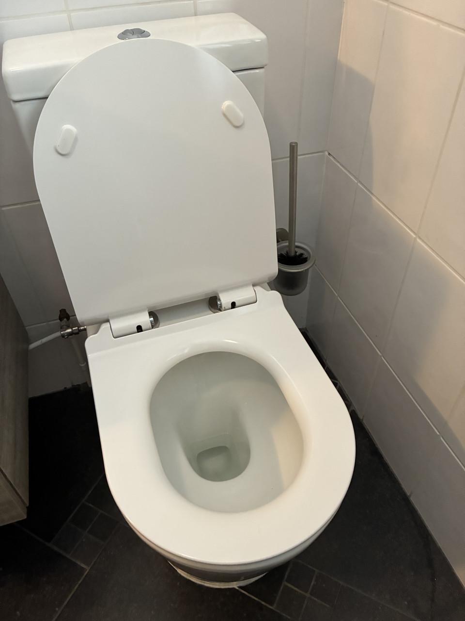 Wc duo blok incl wc bril