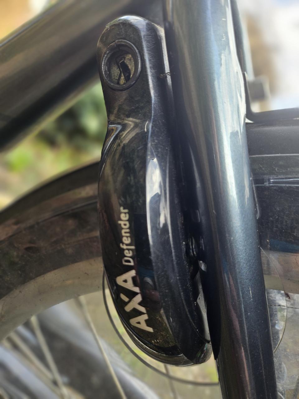 Stella Nantes lage instap e- bike maar 750 km