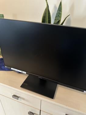 Gaming monitor