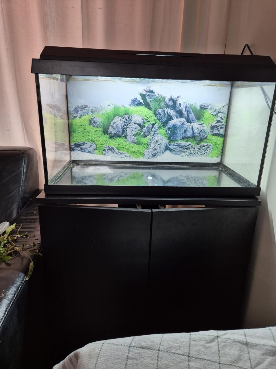Juwel primo 60l aquarium