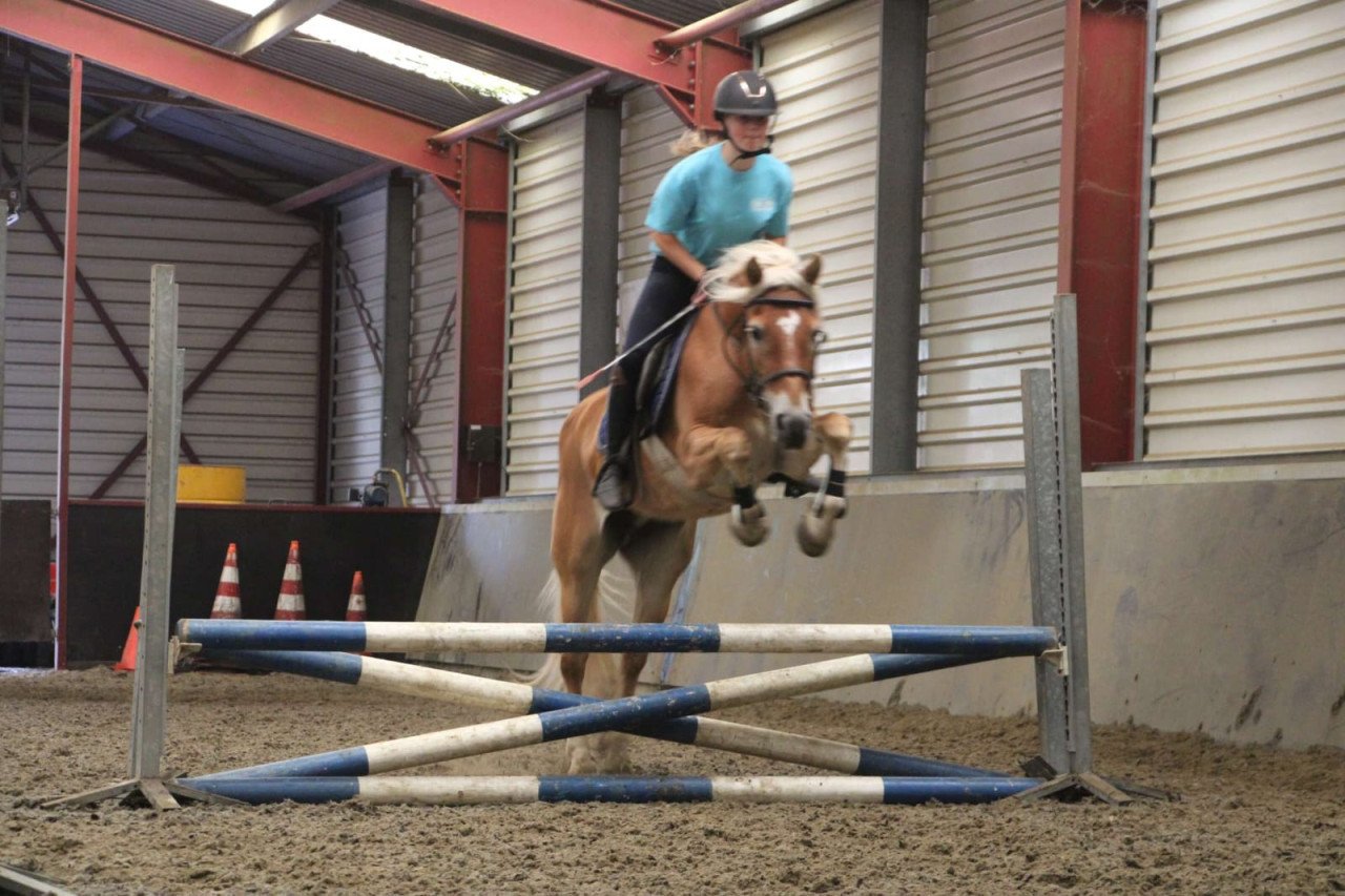 Ponykamp In Middelburg!