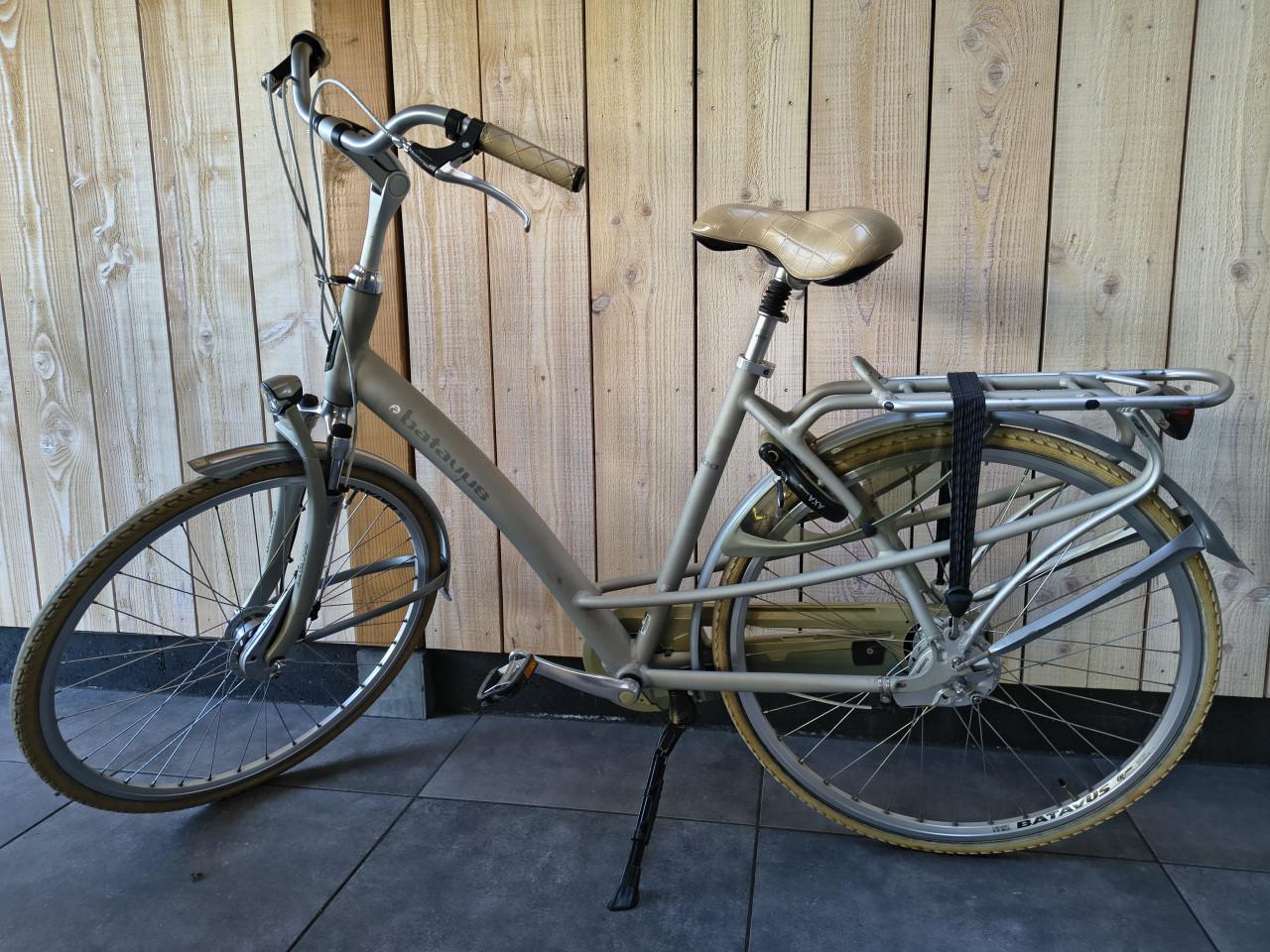 Batavus Mambo