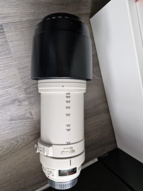 Canon EF 100-400 mm lens