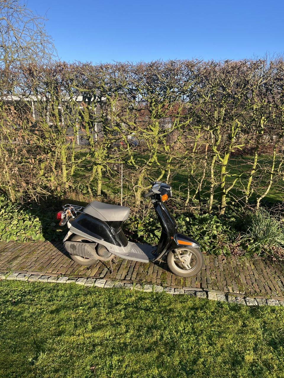 Yamaha mint