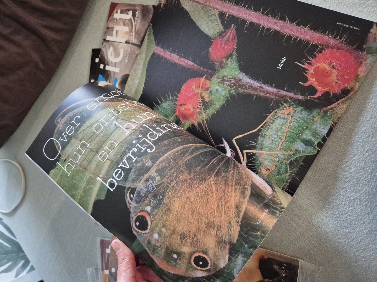 Tijdschriften