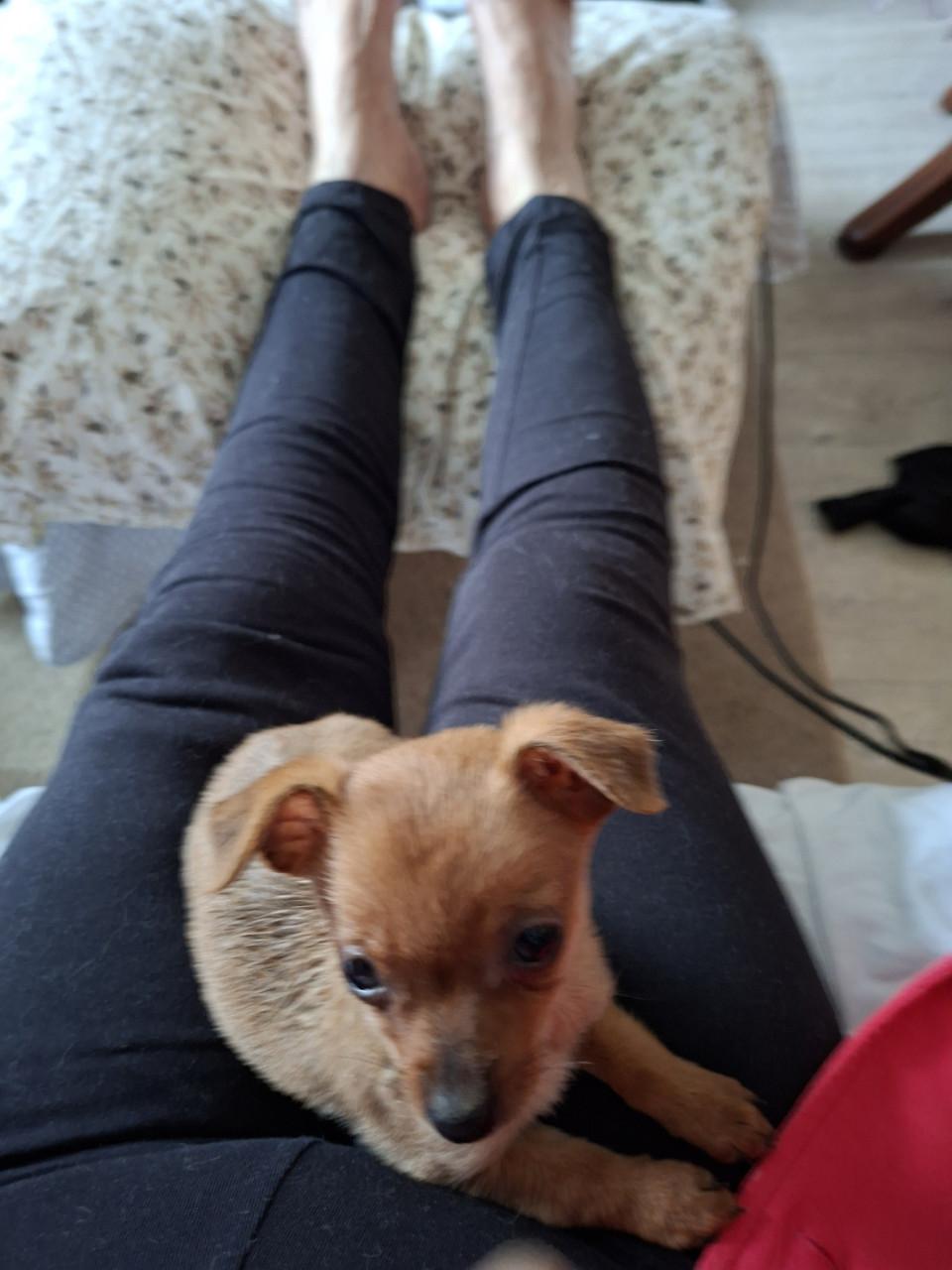 Chiawa reutje geboren 18 september