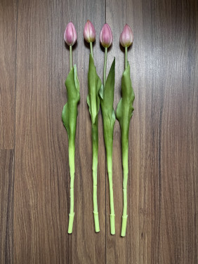 Neptulpen roze