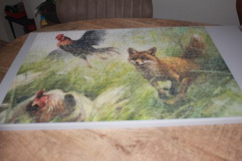 2 in 1 puzzel,,Rien Poortvliet